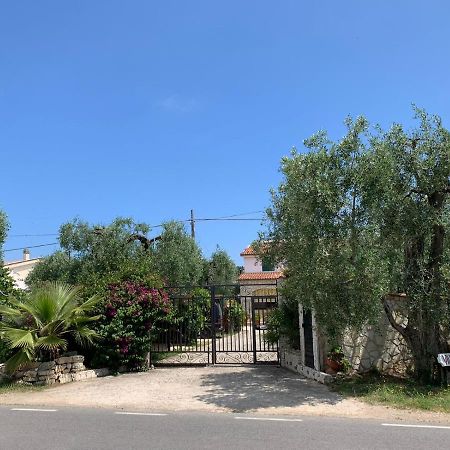 Villa Monica Appartamenti Vieste Exteriör bild