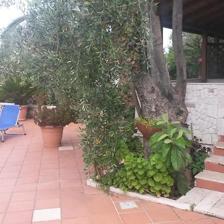 Villa Monica Appartamenti Vieste Exteriör bild