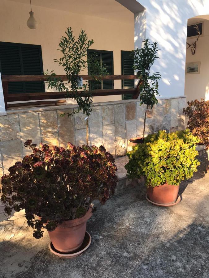 Villa Monica Appartamenti Vieste Exteriör bild