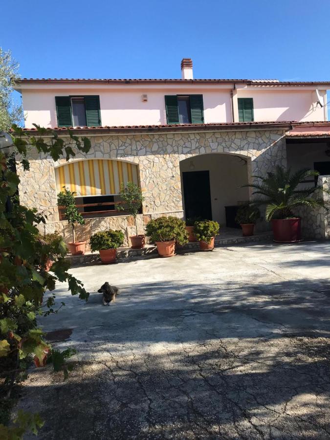 Villa Monica Appartamenti Vieste Exteriör bild