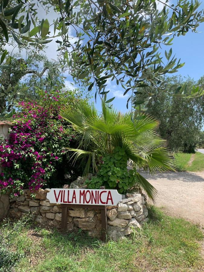 Villa Monica Appartamenti Vieste Exteriör bild