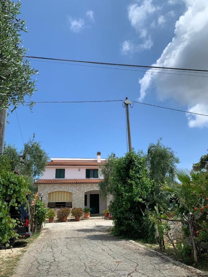 Villa Monica Appartamenti Vieste Exteriör bild