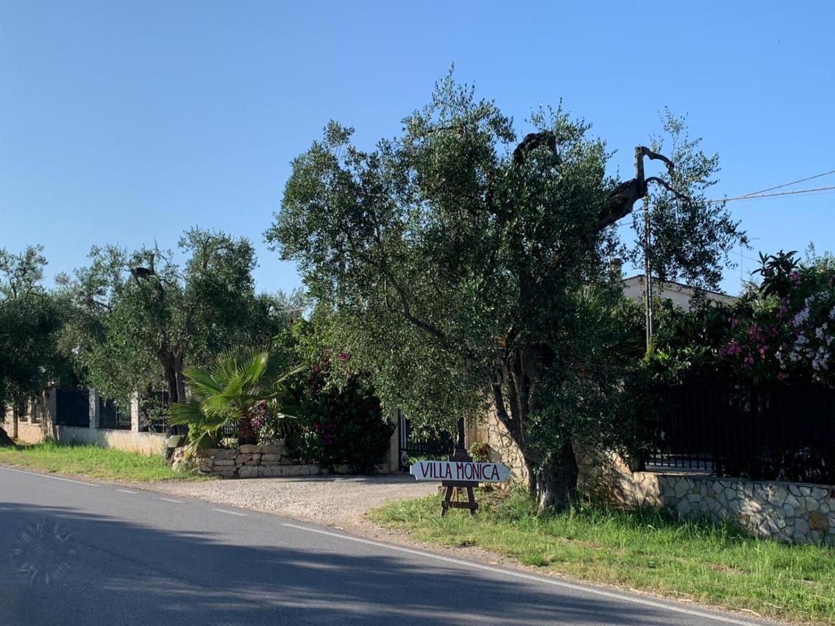 Villa Monica Appartamenti Vieste Exteriör bild