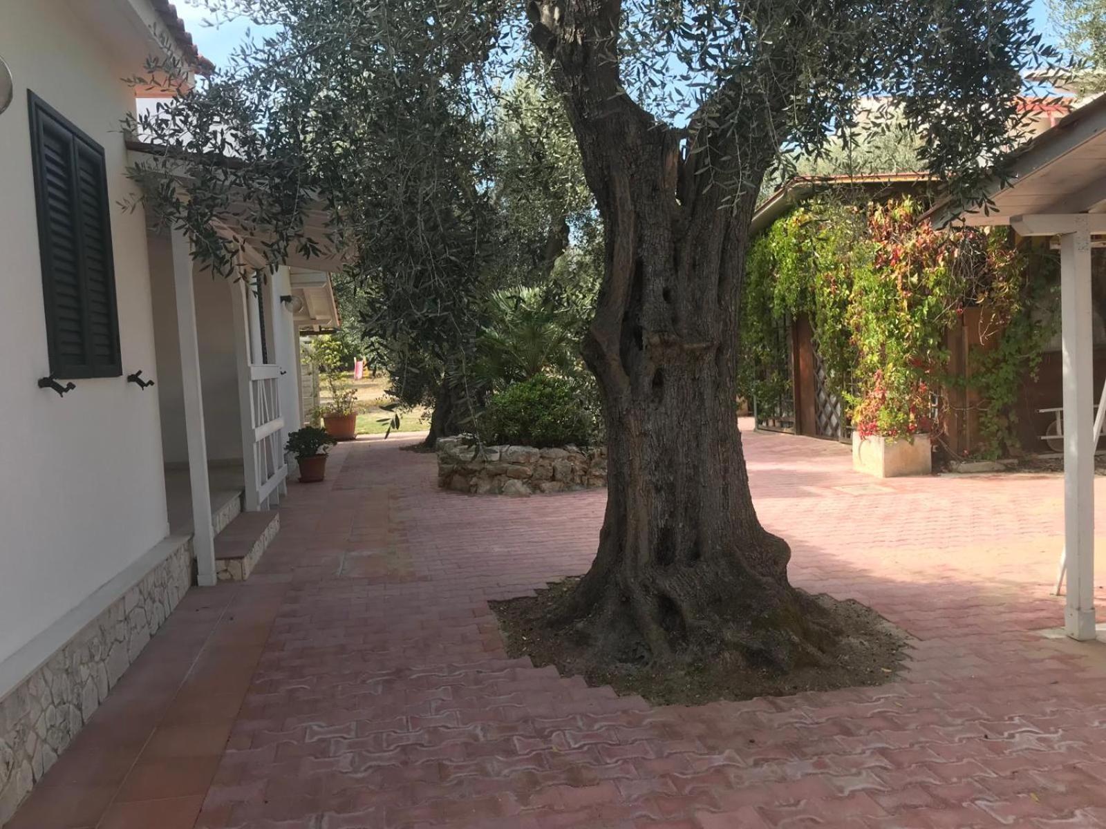 Villa Monica Appartamenti Vieste Exteriör bild