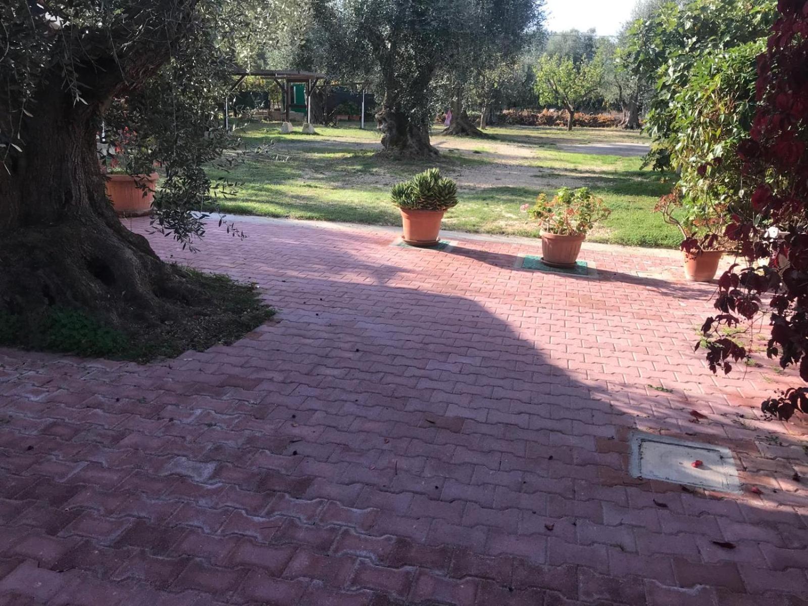 Villa Monica Appartamenti Vieste Exteriör bild