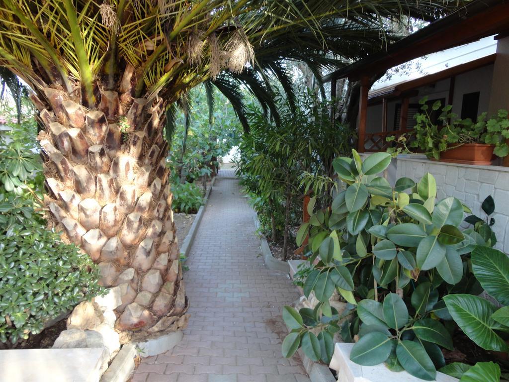 Villa Monica Appartamenti Vieste Exteriör bild
