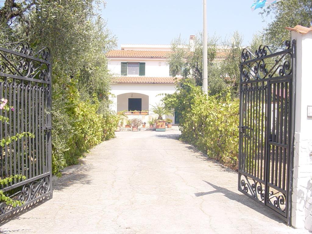 Villa Monica Appartamenti Vieste Exteriör bild