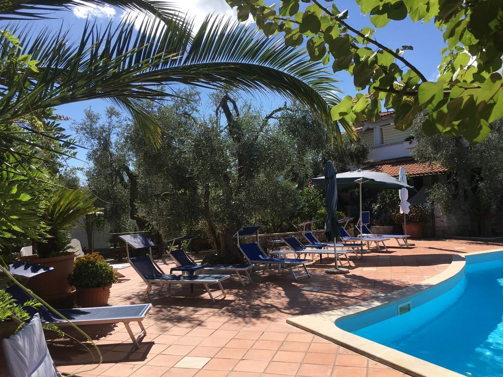 Villa Monica Appartamenti Vieste Exteriör bild